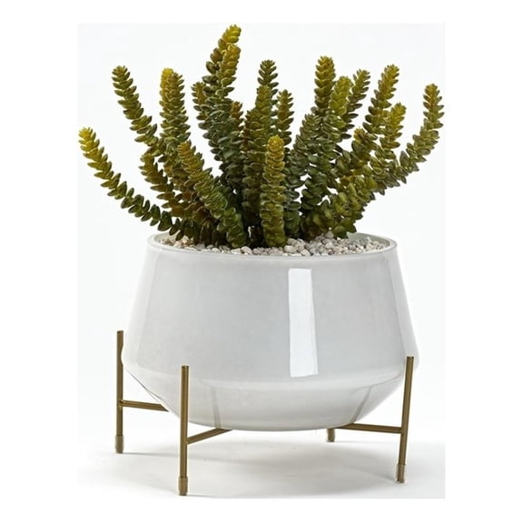 Pemberly Row Contemporary Soft Touch Donkey Tail in Parson Planter