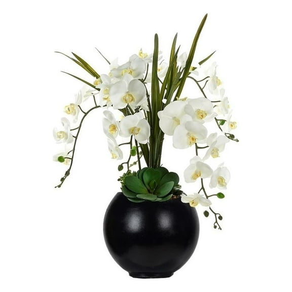 Pemberly Row Contemporary White Orchids and Echeverias in Black Porter Planter