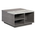 thumbnail image 1 of Pemberly Row Engineered Wood Lift Top Coffee Table in Ashen Oak, 1 of 17
