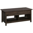 thumbnail image 1 of Pemberly Row Engineered Wood Lift-Top Coffee Table in Coffee Oak, 1 of 17