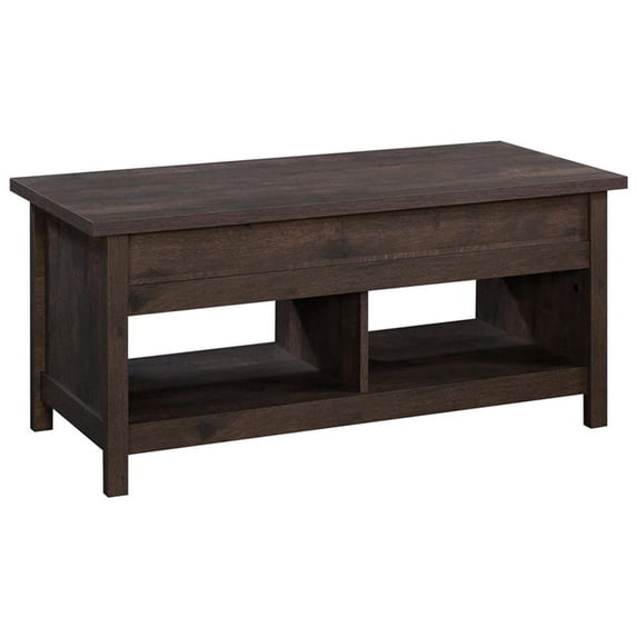 Pemberly Row Engineered Wood Lift-Top Coffee Table in Coffee Oak