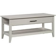 thumbnail image 1 of Pemberly Row Engineered Wood Lift-Top Coffee Table in Glacier Oak, 1 of 14