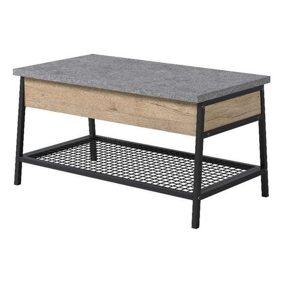 Pemberly Row Engineered Wood Lift-Top Coffee Table in Prime Oak