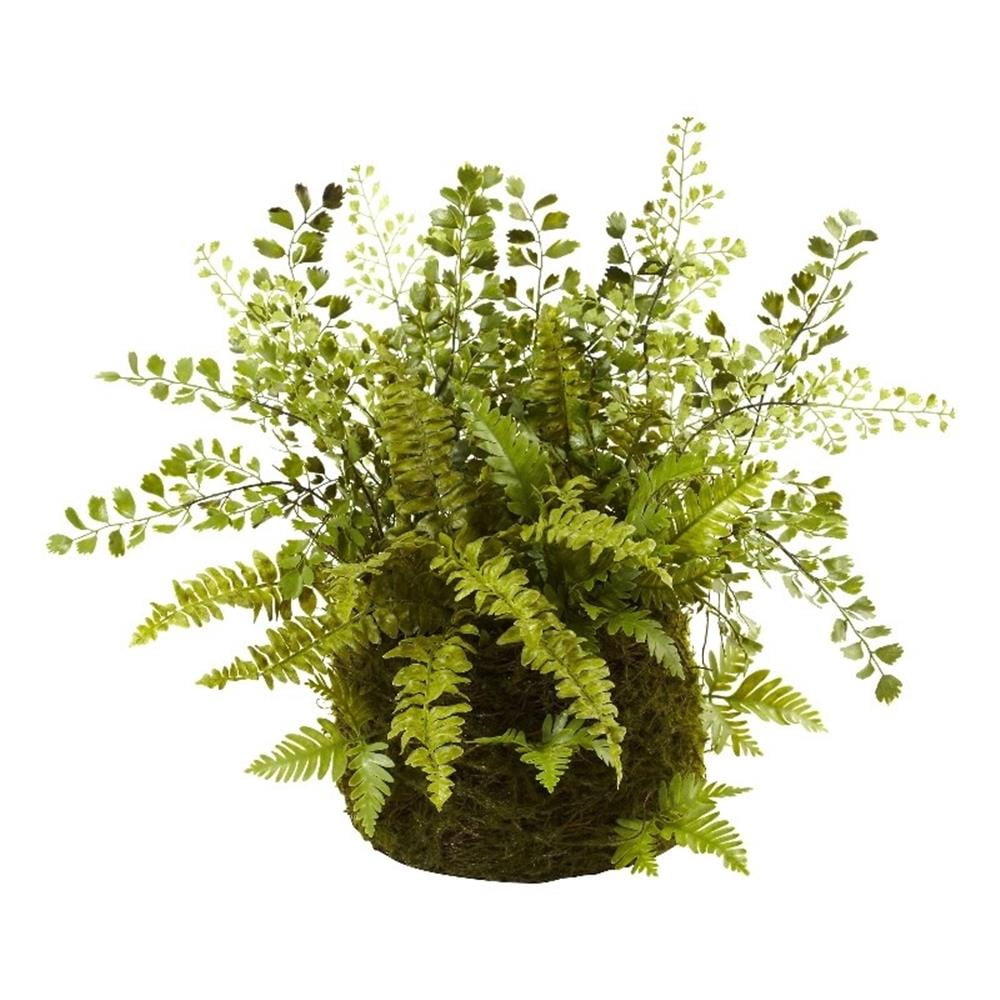 Pemberly Row Mixed Fern with Twig and Moss Basket in Green/Brown