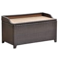 thumbnail image 1 of Pemberly Row Patio Storage Bench in Chocolate, 1 of 3