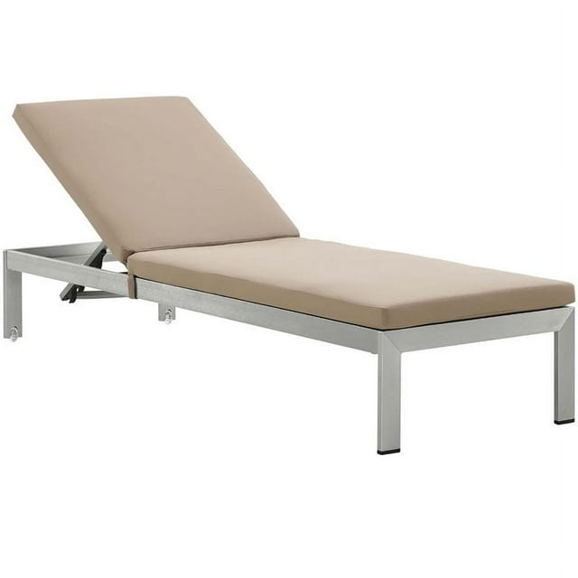 Pemberly Row  Plastic Wood Reclining Patio Chaise Lounge in Silver and Mocha