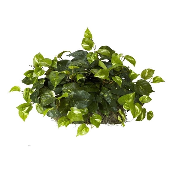Pemberly Row Pothos Ledge Plant (Set on Foam) Silk Plant in Green