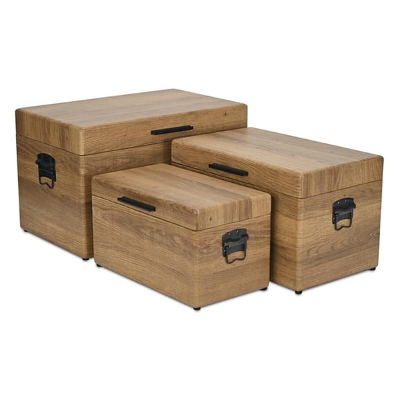 Pemberly Row Set of 3 Brown Storage Trunks with Black Handles