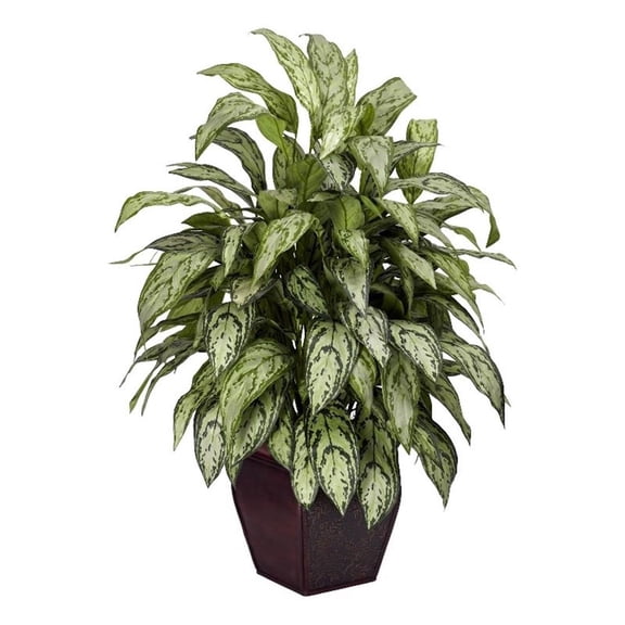Pemberly Row Silver Queen with Decorative Planter Silk Plant in Green/Brown