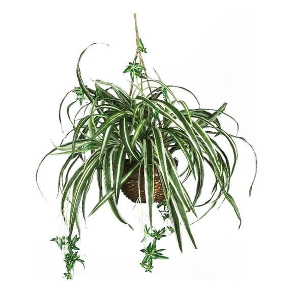 Pemberly Row Spider Hanging Basket Silk Plant in Green/Brown