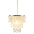 thumbnail image 1 of Pemberly Row Transitional Metal and Shells Capiz Chandelier in Gold/White, 1 of 10