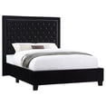 thumbnail image 1 of Pemberly Row Velvet Upholstered Tufted Platform Queen Bed Black, 1 of 11