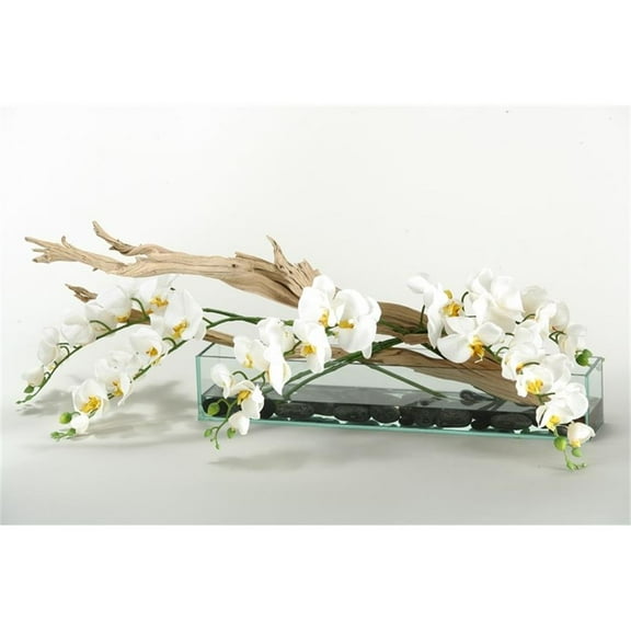 Pemberly Row White Real-Touch Phael Orchids and Ghostwood in Aquaria Planter