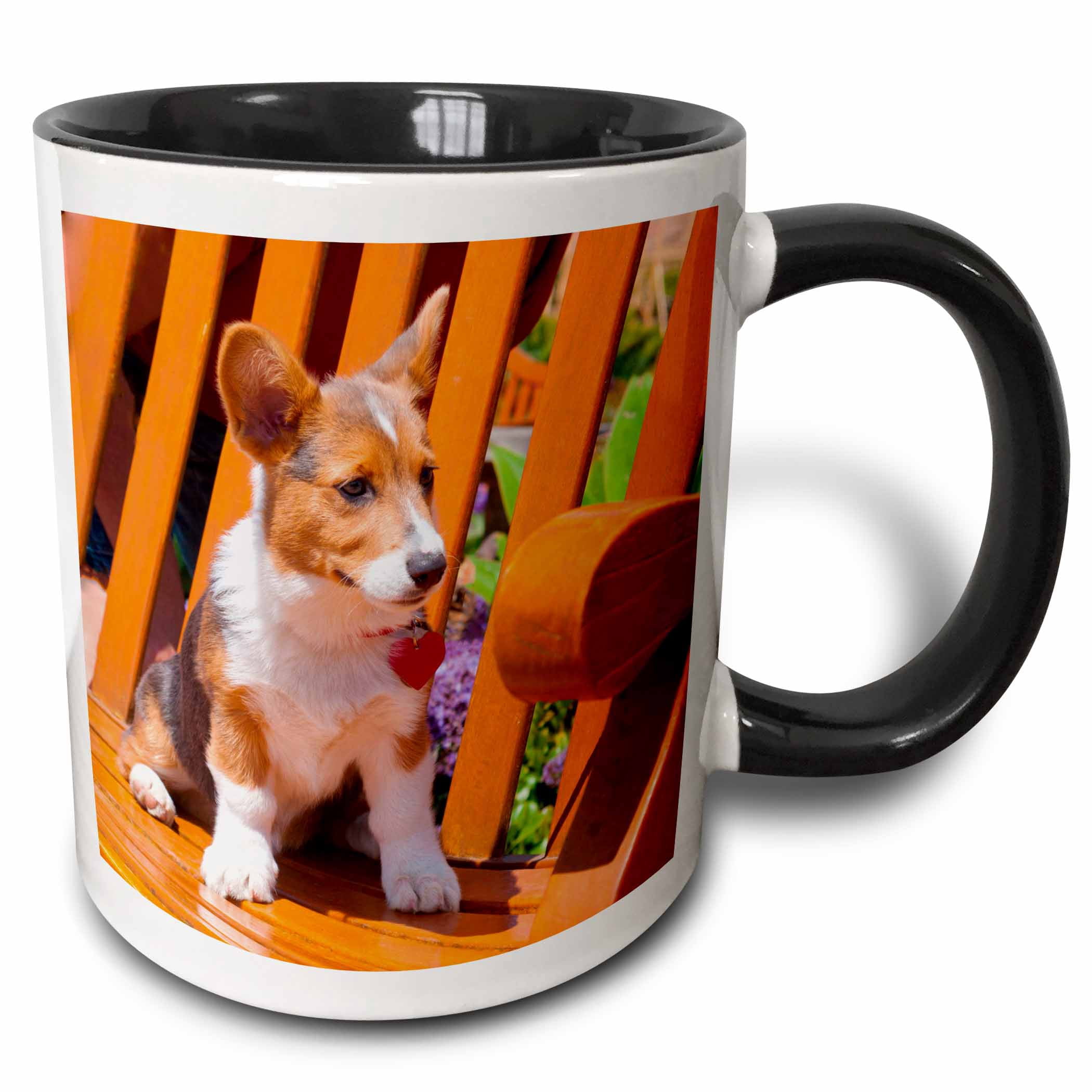 3drose, Pembroke Welsh Corgi Puppy Sitting in Wooden Park Bench, 15oz ...