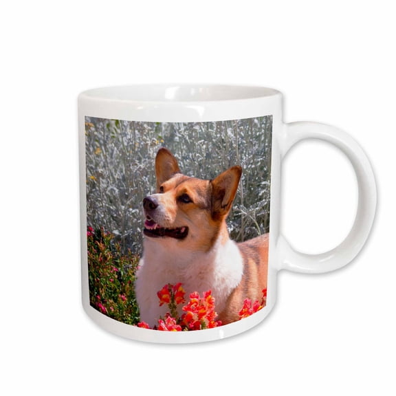 3drose, Pembroke Welsh Corgi Standing in Garden, Mr and Pr,, 11oz Mug