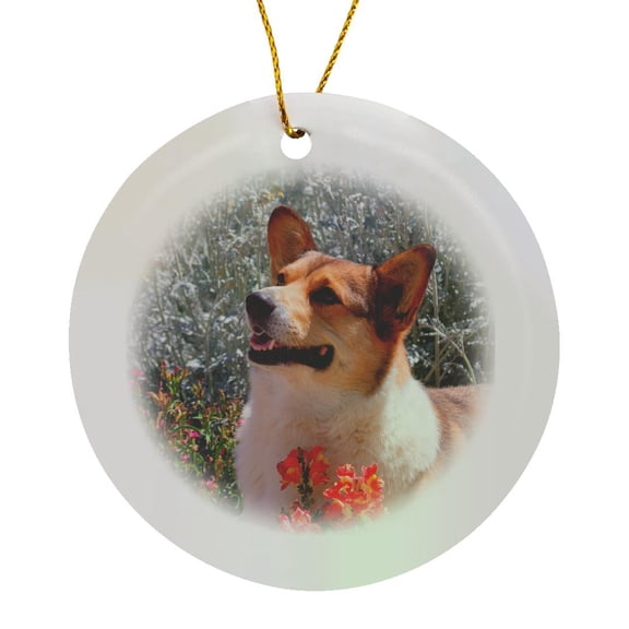 3drose, Pembroke Welsh Corgi Standing in Garden, Mr and Pr,, Circle Porcelain Ornament
