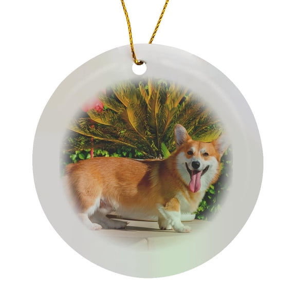3drose, Pembroke Welsh Corgi Standing Poolside, Mr and Pr,, Circle Porcelain Ornament