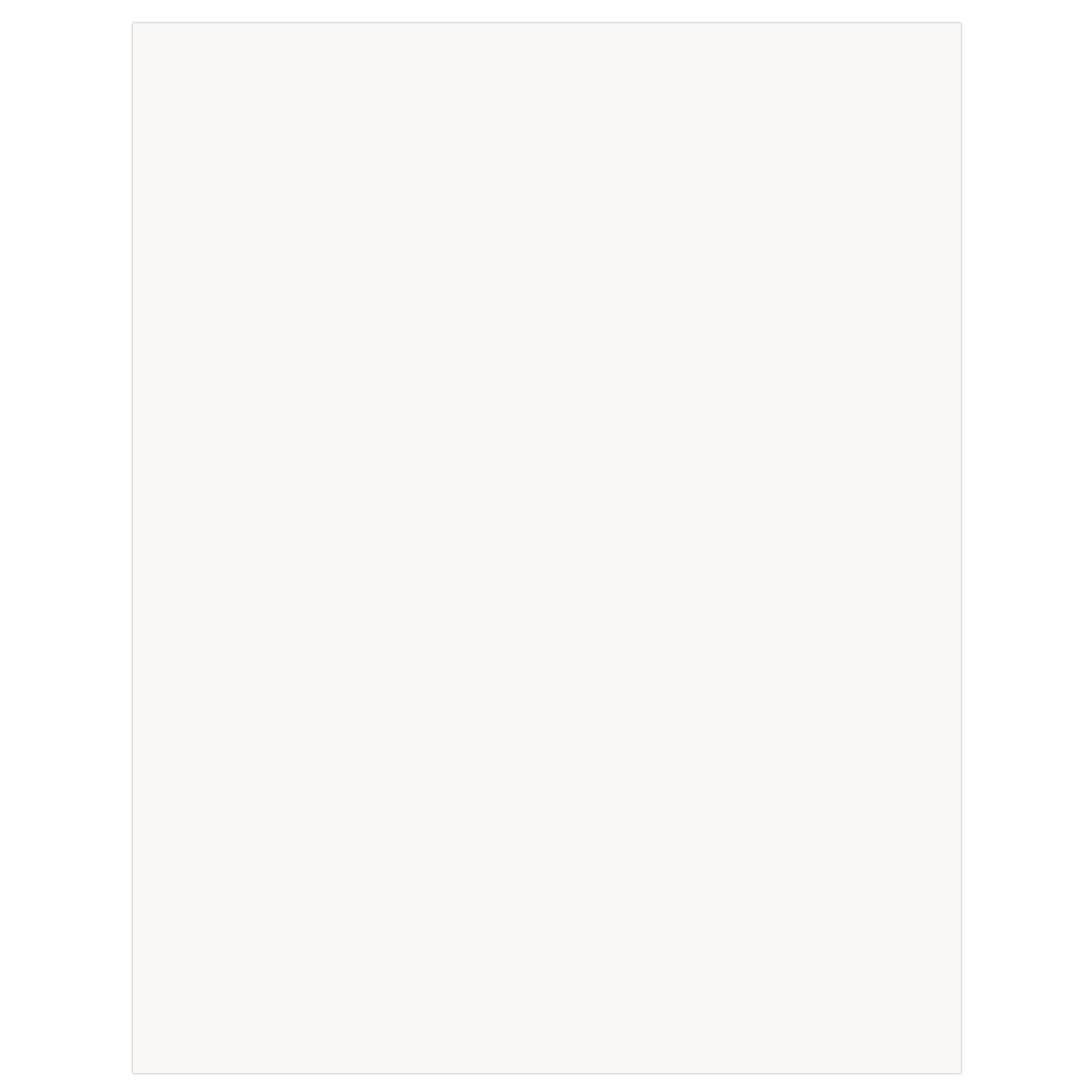 White Poster Board 22 x 28 Pack of 100 by Colorations