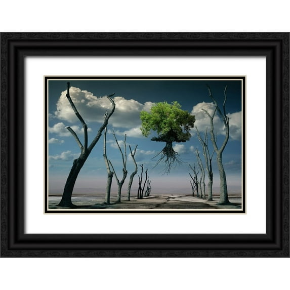 Penchev, Radoslav 14x11 Black Ornate Wood Framed with Double Matting Museum Art Print Titled - I Want To Fly