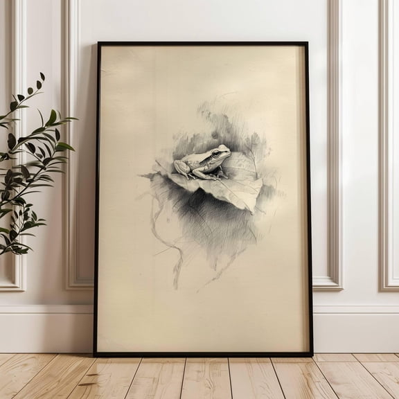 Pencil Drawing of Frog on Lilypad Antique Animal Art Print, Unframed Canvas 24x36in