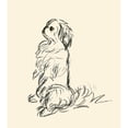 thumbnail image 1 of Pekingese Poster Print by Lucy Dawson, 1 of 3