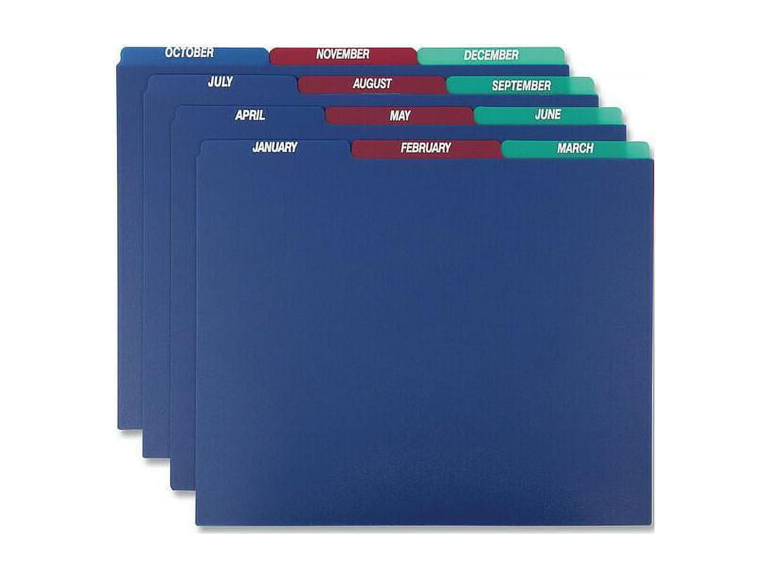 Pendaflex 40144 Top Tab File Guides, Monthly, 1/3 Tab, Polypropylene