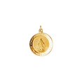 thumbnail image 1 of Necklace 14k Yellow Gold 15mm Polished Round Immaculate Conception Medal Pendant for Women, 1 of 2