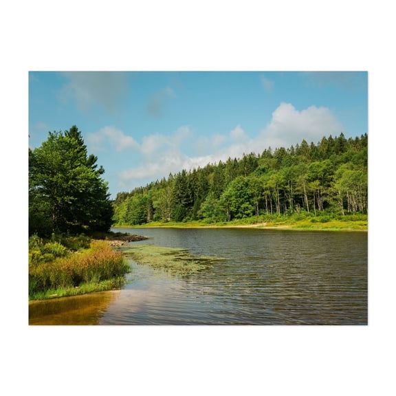 Pendleton Lake, Blackwater Falls 02 - Davis West Virginia Photography Nature Landscape Forest Scenic Rural Summer Water Unframed Wall Art Print 12 x 16 inches