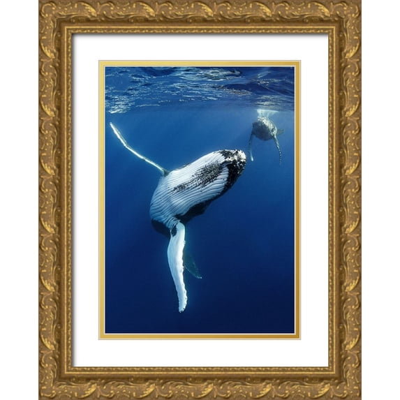 Peneau, Cedric 11x14 Gold Ornate Wood Framed with Double Matting Museum Art Print Titled - free hugs !