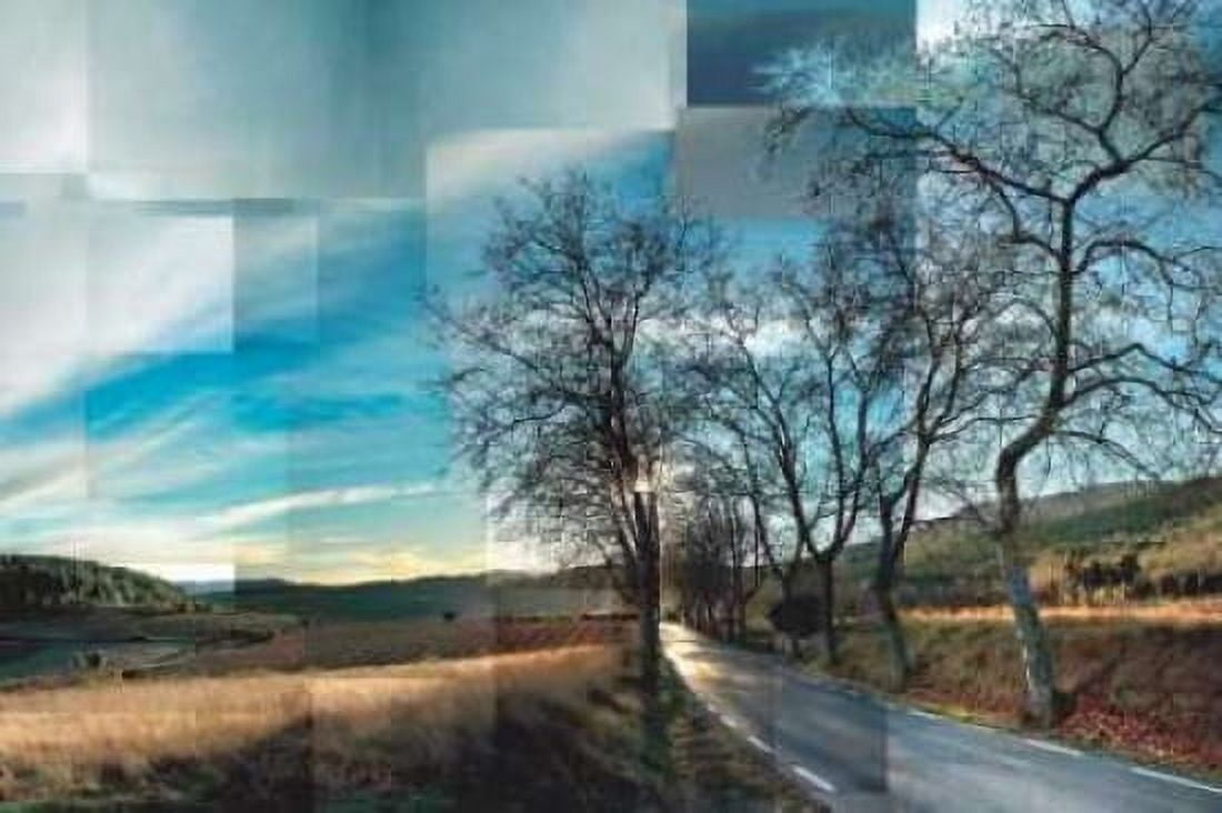 Penedes Vineyards Canvas Art - Pep Ventosa (24 x 36)