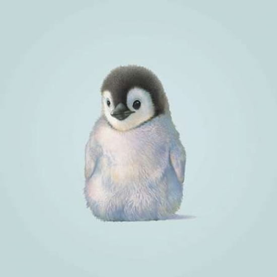 Penguin Canvas Art - John Butler (24 x 24)