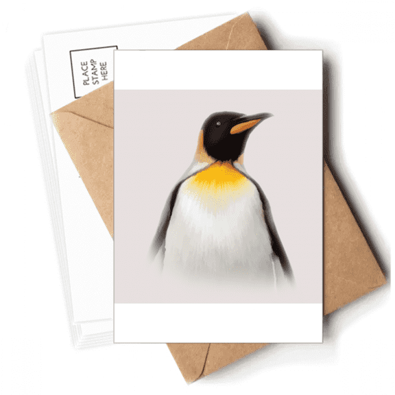 Penguin Chest Overlook South Pole Postcards Envelopes Blank Note Cards Mailing