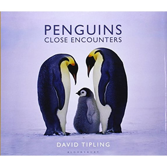Penguins: Close Encounters (Hardcover) by David Tipling