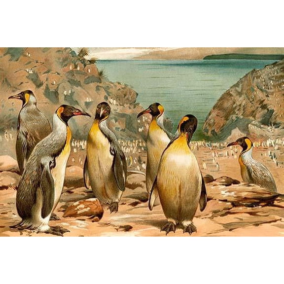 Penguins- Fine Art Canvas Print (20" x 30")