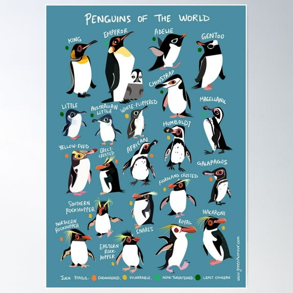 Penguins Of The World Poster Wall Art, Modern Wall Decor For Living Room Bedroom, 8x12 UNFRAMED