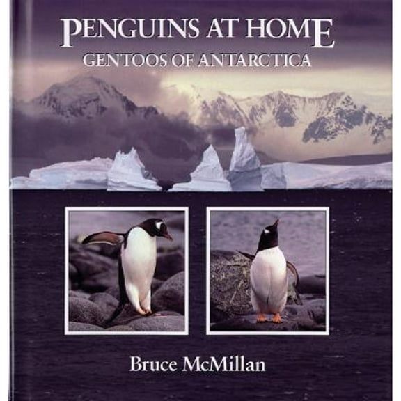 Pre-Owned Penguins at Home: Gentoos of Antarctica (Hardcover) 0395665604 9780395665602