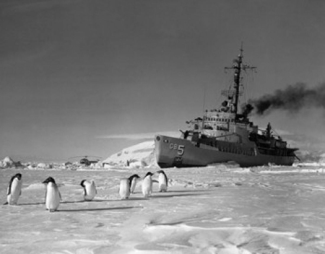 Penguins in front of an ice-breaker on a frozen sea Ross Sea Antarctica Canvas Art - (18 x 24)