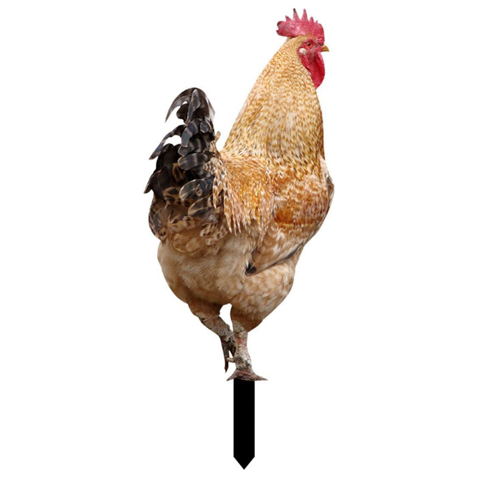 Yard Signs Hen Acrylic Outdoor Courtyard Insert Decoration Insert ...