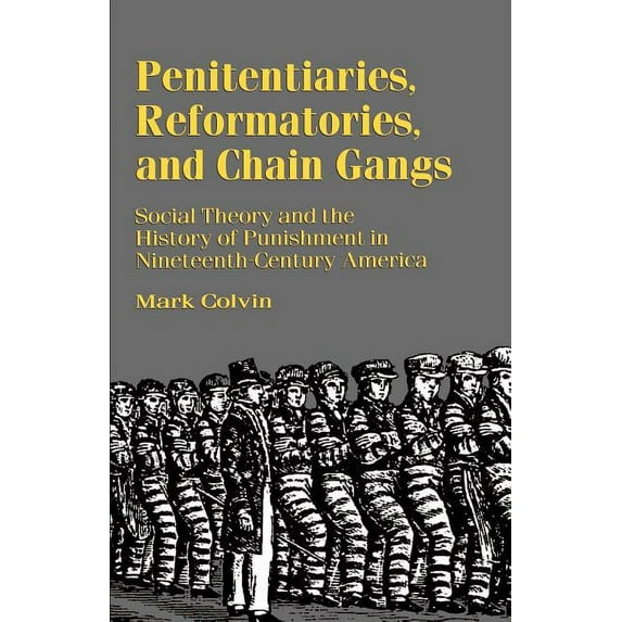 Penitentiaries, Reformatories, and Chain Gangs: Social Theory and the History of Punishment in Nineteenth-Century Americ, (Paperback)