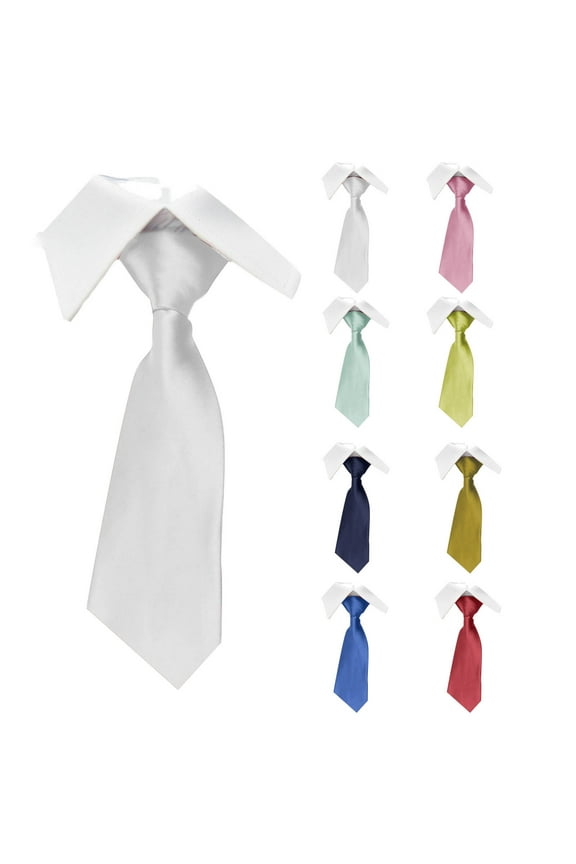 Classic Tie for Men,Men's Neckties Satin, 3.15" Formal Tie, Professional Necktie for Business and Formal Occasions Silver
