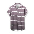 thumbnail image 1 of Penkiiy Men Casual Fashion Turndown Collar Stripe Printing Short Sleeve Button Shirt Tops Blouse 2XL Coffee, 1 of 4