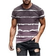 thumbnail image 1 of Penkiiy T Shirts for Men Casual Shorts Sleeves Round Neck Pullover Striped Printing Sports Fitness Blouse Plus Size Tops L Purple, 1 of 5