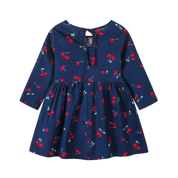 Penkiiy Toddler Kids Baby Girls Long Sleeve Printed Dress Floral Princess Dress Toddler Girls Clothes 18-24 Months Blue On Clearance