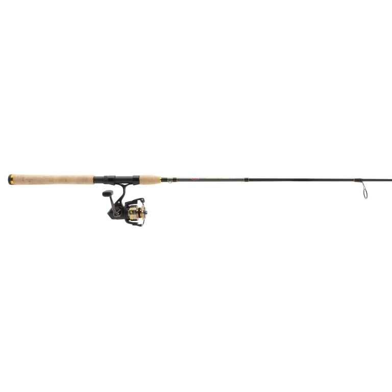 PENN Battle IV Spinning Fishing Combo, 6'6