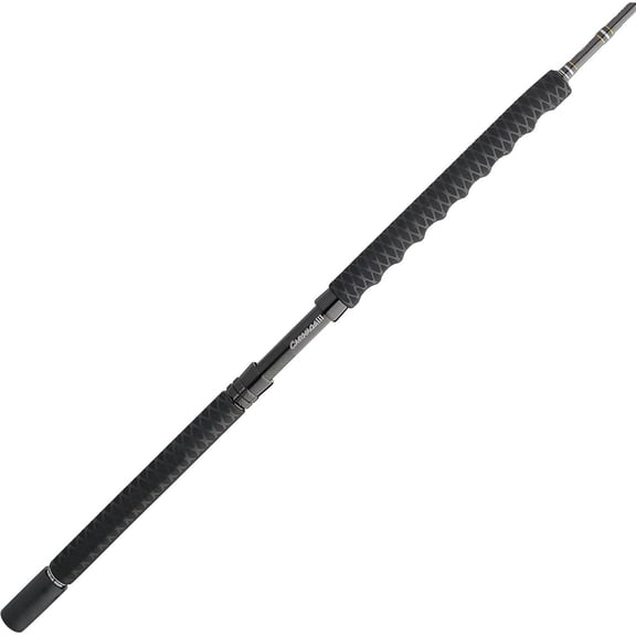 PENN Carnage III Conventional Boat Rod, 7' Fishing Pole, Medium Light Power