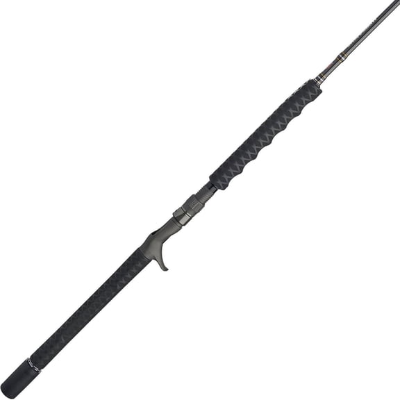 PENN Carnage III Conventional Jigging Rod, 6'2" Fishing Pole, Medium Heavy Power