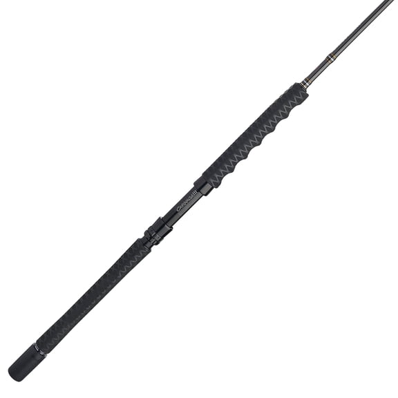 PENN Carnage III Spinning Jigging Rod, 6'4" Fishing Pole, Medium Heavy Power