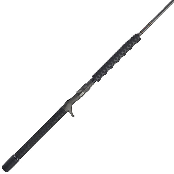 PENN Carnage III Conventional Jigging Rod, 5'8" Fishing Pole, Heavy Power