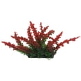thumbnail image 1 of Penn-Plax Aqua-Scaping Large Red Bunch Plant - 5 Piece PDQ, 1 of 2