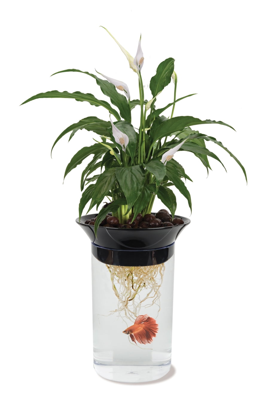 Penn Plax Aquaponic Betta Fish Plastic Tank, 0.5 Gallon Walmart